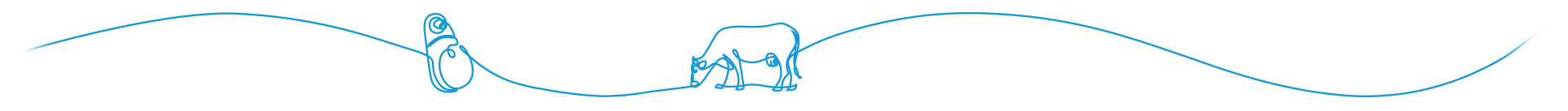 Illustration minimaliste d’une vache Dessin minimaliste d’une vache en lignes bleues