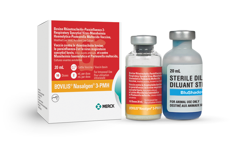 Ninonasal® Autotest Nasal Covid-19, nos dispositifs médicaux de diagnostic  in vitro Boiron - Composition, posologie et utilisation