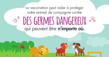Des germes dangereux qui peuvent être n/importe où.