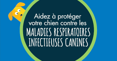Aidez à protéger votre chien contre les maladies respiratoires infectieuses canines