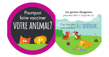 Pourquoi faire vacciner votre animal?