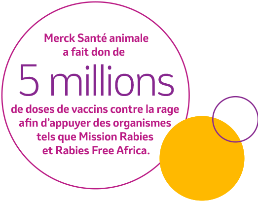 Merck Santé animale a fait don de 5 millions de doses de vaccins contre la rage afin d'appuyer des organismes tels que Mission Rabies et Rabies Free Africa.