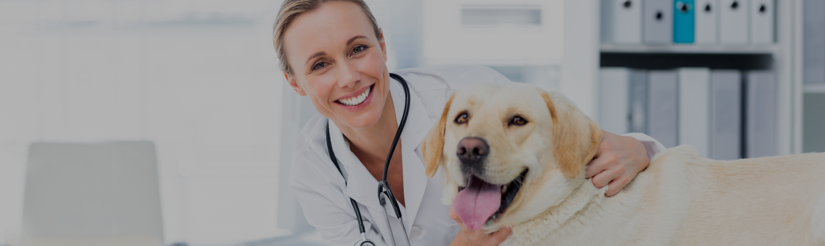 Femme vétérinaire et chien heureux
