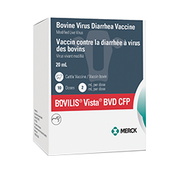 BOVILIS® Vista® BVD CFP packaging