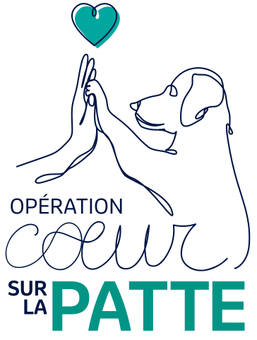Opération Cœur sur la patte