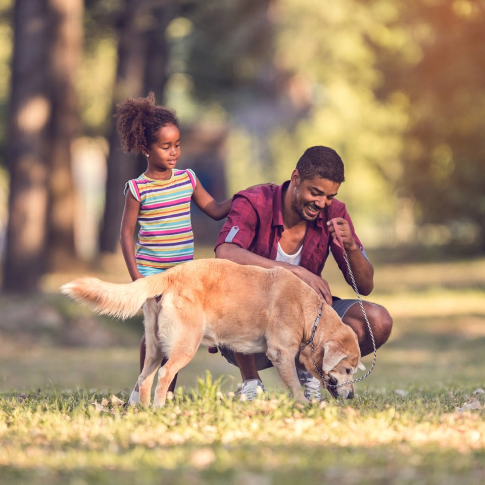 Un père et sa fille promenant leur chien dans le parc.