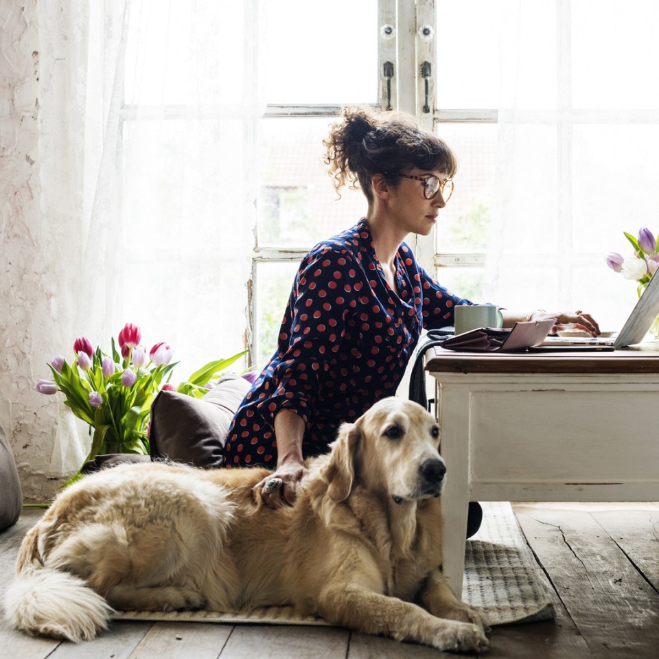 Une femme travaillant sur son ordinateur portable avec son chien couché à côté d'elle.