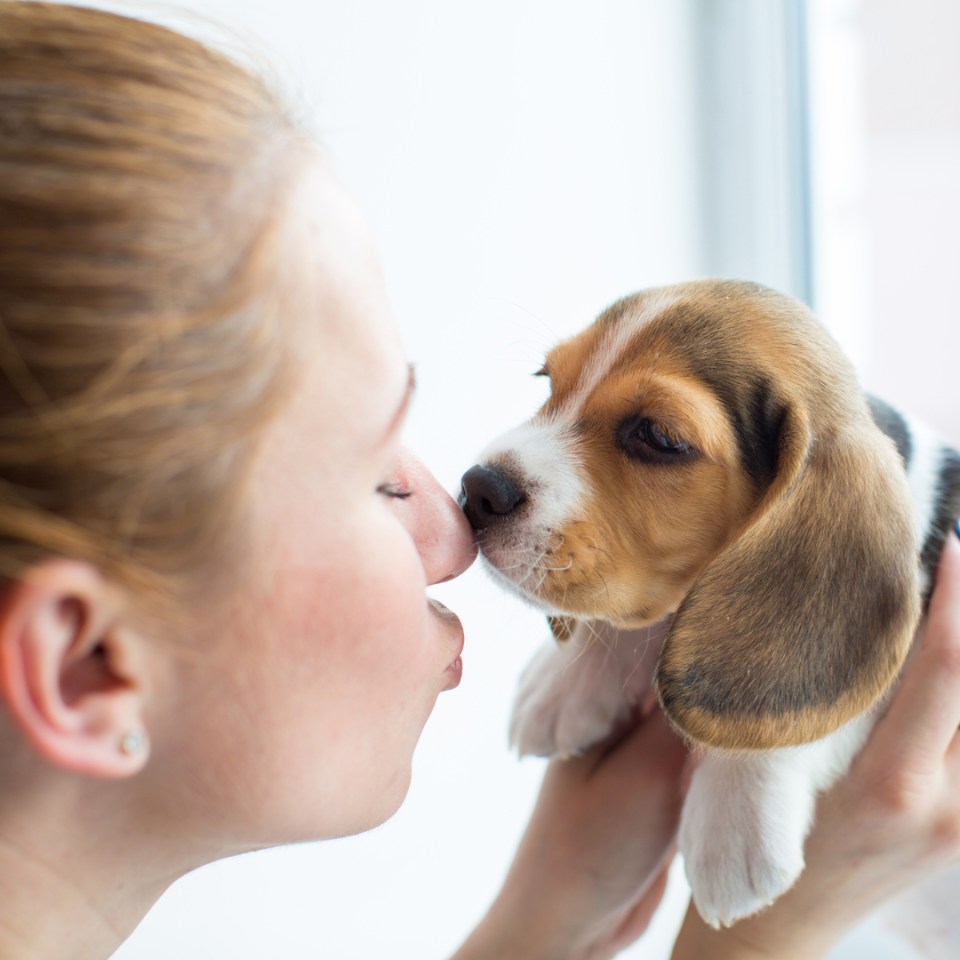 Une femme caressant affectueusement un chiot.