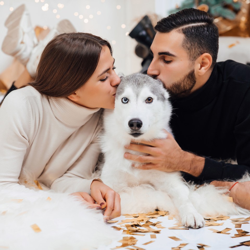 Un couple est allongé sur le sol, couvrant d'affection leur chien au milieu des confettis festifs du Nouvel An.