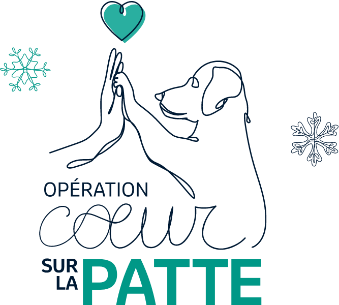 Logo Opération coeur sur la patte