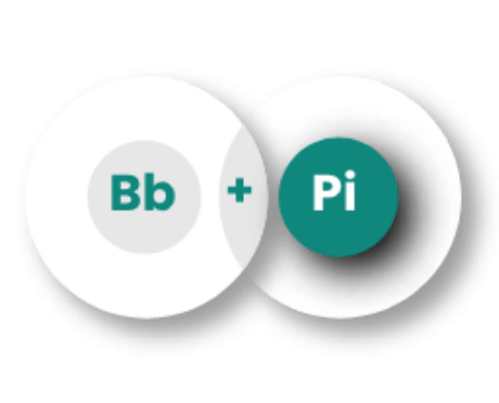 Protection combiné Bb + Pi