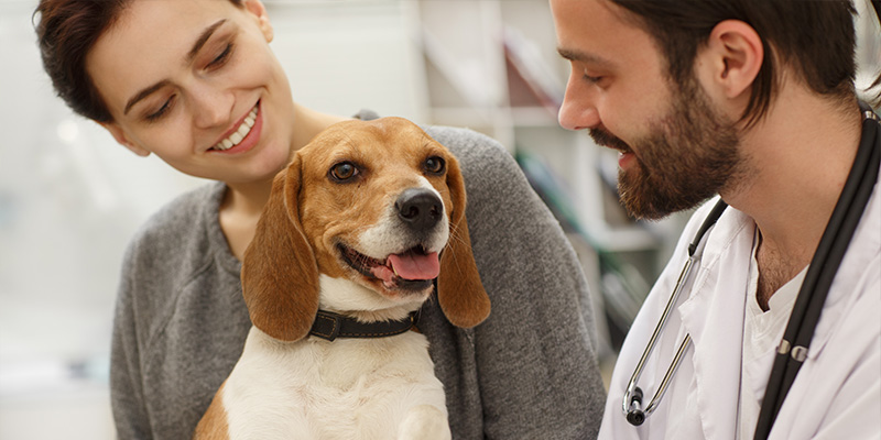 Une femme et son chien rendent visite au vétérinaire.