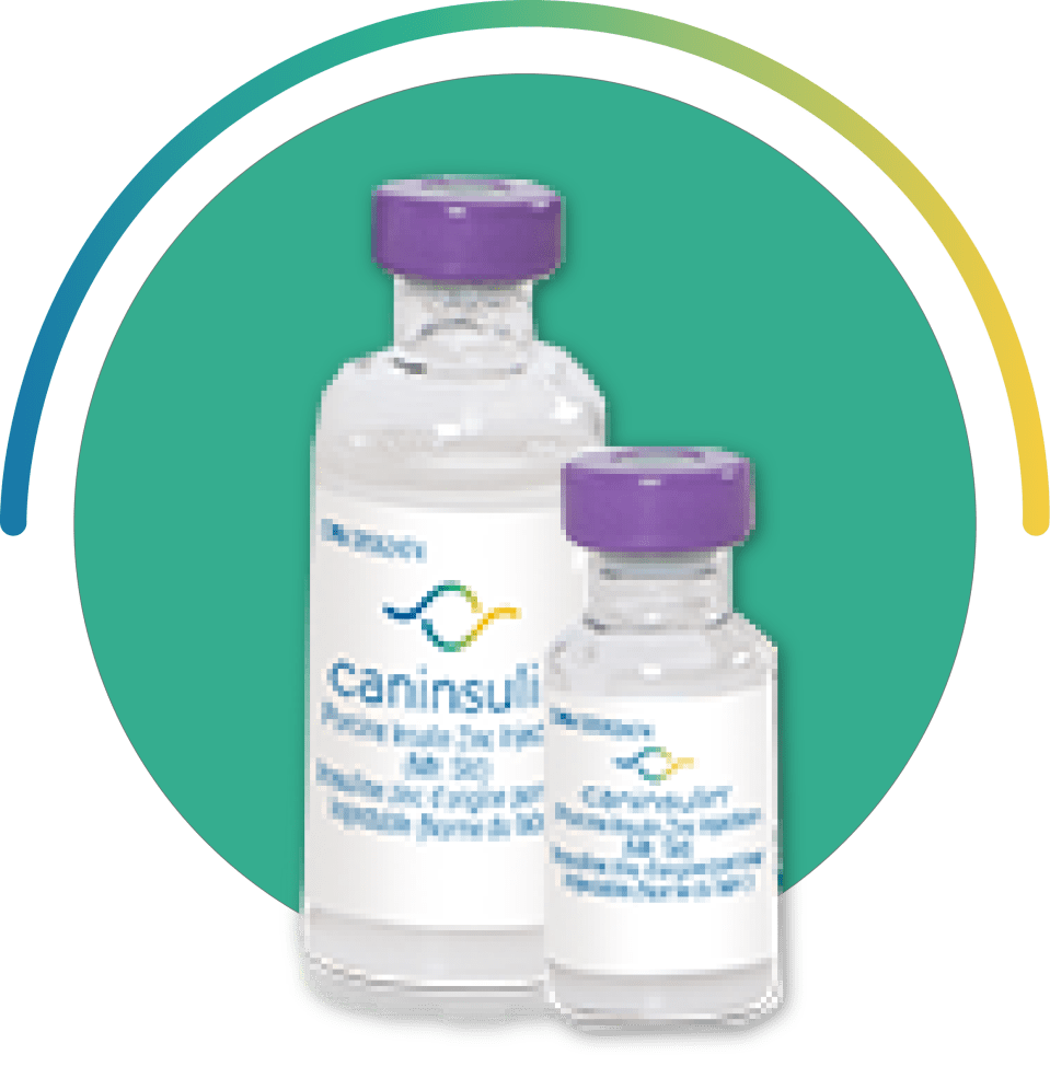 Fioles Caninsulin