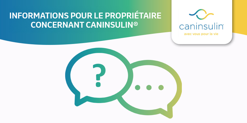 Image représentant la brochure d'informations CANINSULIN
