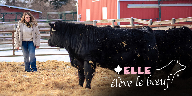 Une femme avec le bétail avec logo elle eleve le boeuf