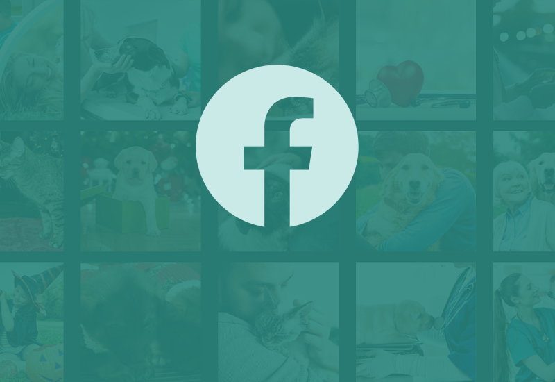 logo facebook