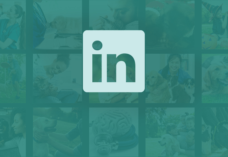 logo linkedin