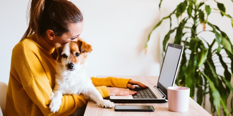 une femme naviguant sur son ordinateur avec un chien dans les bras