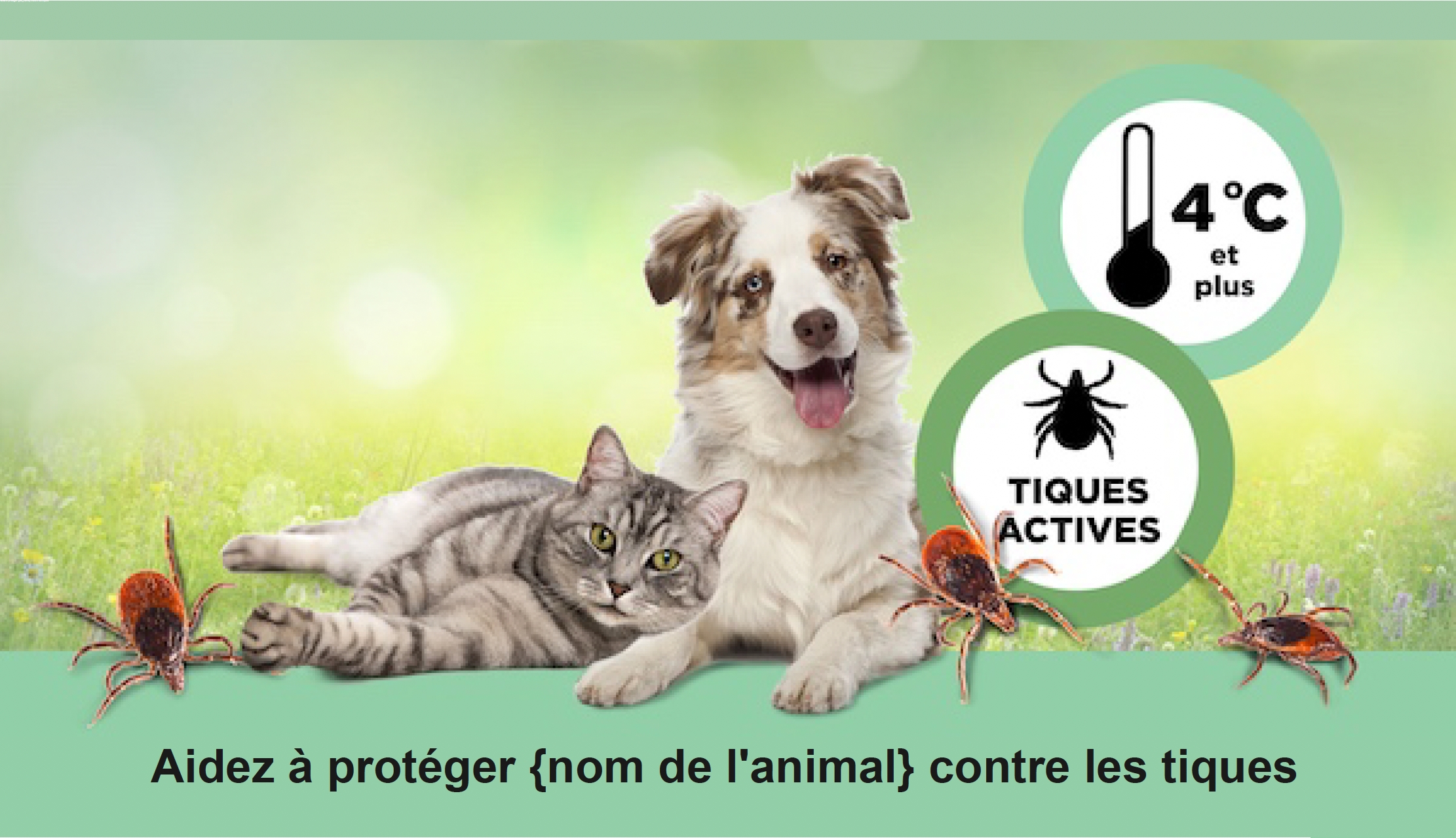 Chien et chat allongés ensemble avec des tiques et autres informations, avec un texte "Aidez à protéger {nom de l'animal} contre les tiques.