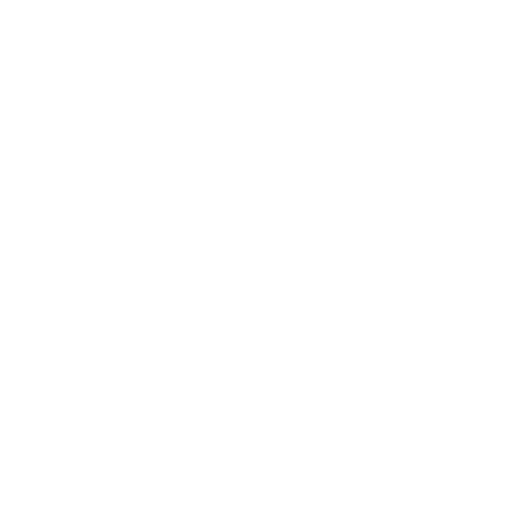 Coche de validation