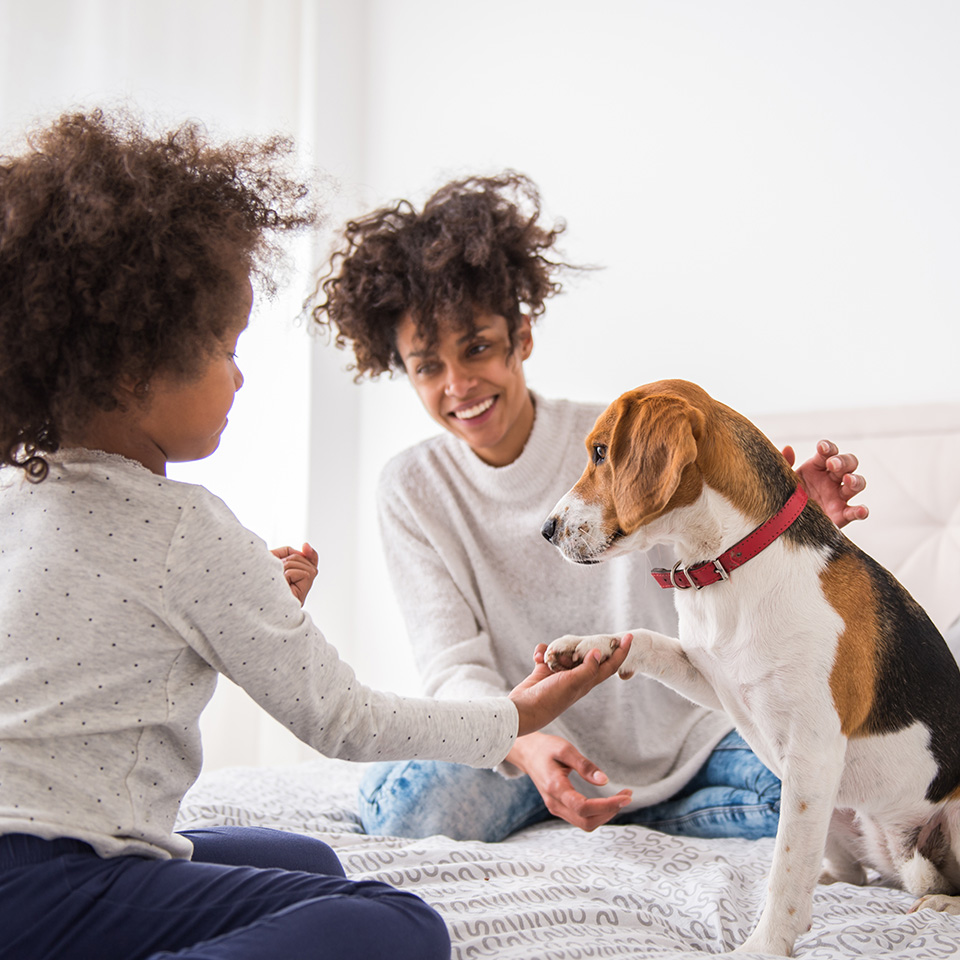 Femme et son enfant jouant joyeusement avec un chien sur un lit.