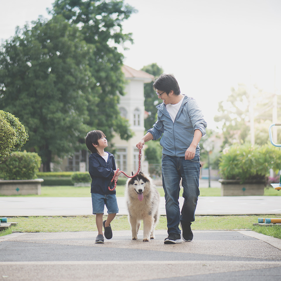 Père et fils se promenant avec leur chien.