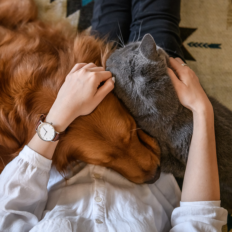 Une femme tenant un chat et un chien dans ses bras.