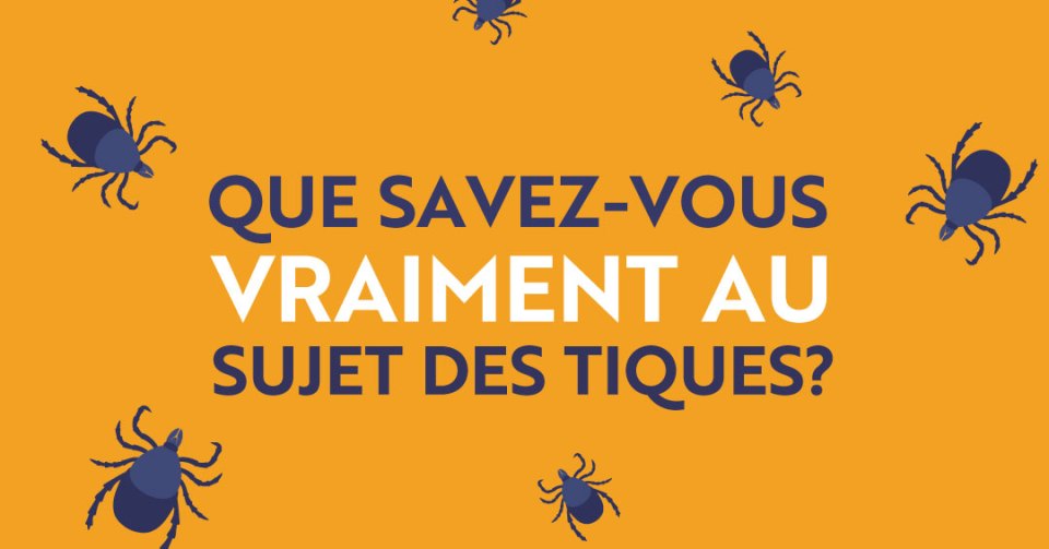 Illustration d'un groupe de tiques sur fond orange avec un texte "Que savez-vous vraiment au sujet des tiques ?".
