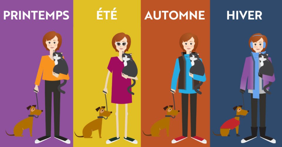 Illustration d'une femme avec son chien en toutes saisons