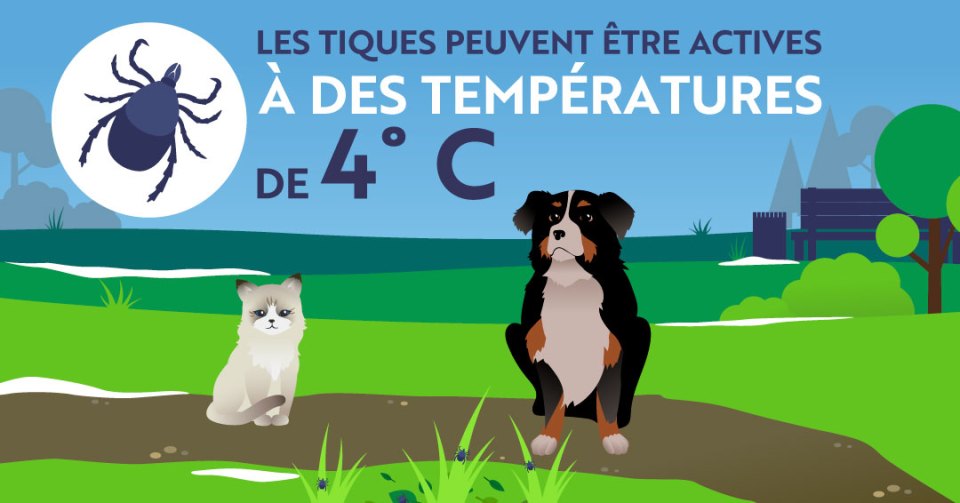 Illustration avec un chat, un chien et une tique à l'extérieur représentant la fin de l'hiver, avec le texte "LES TIQUES PEUVENT ÊTRE ACTIVES À DES TEMPÉRATURES DE 4°C."