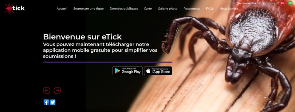 Image représentant le site web e-tick