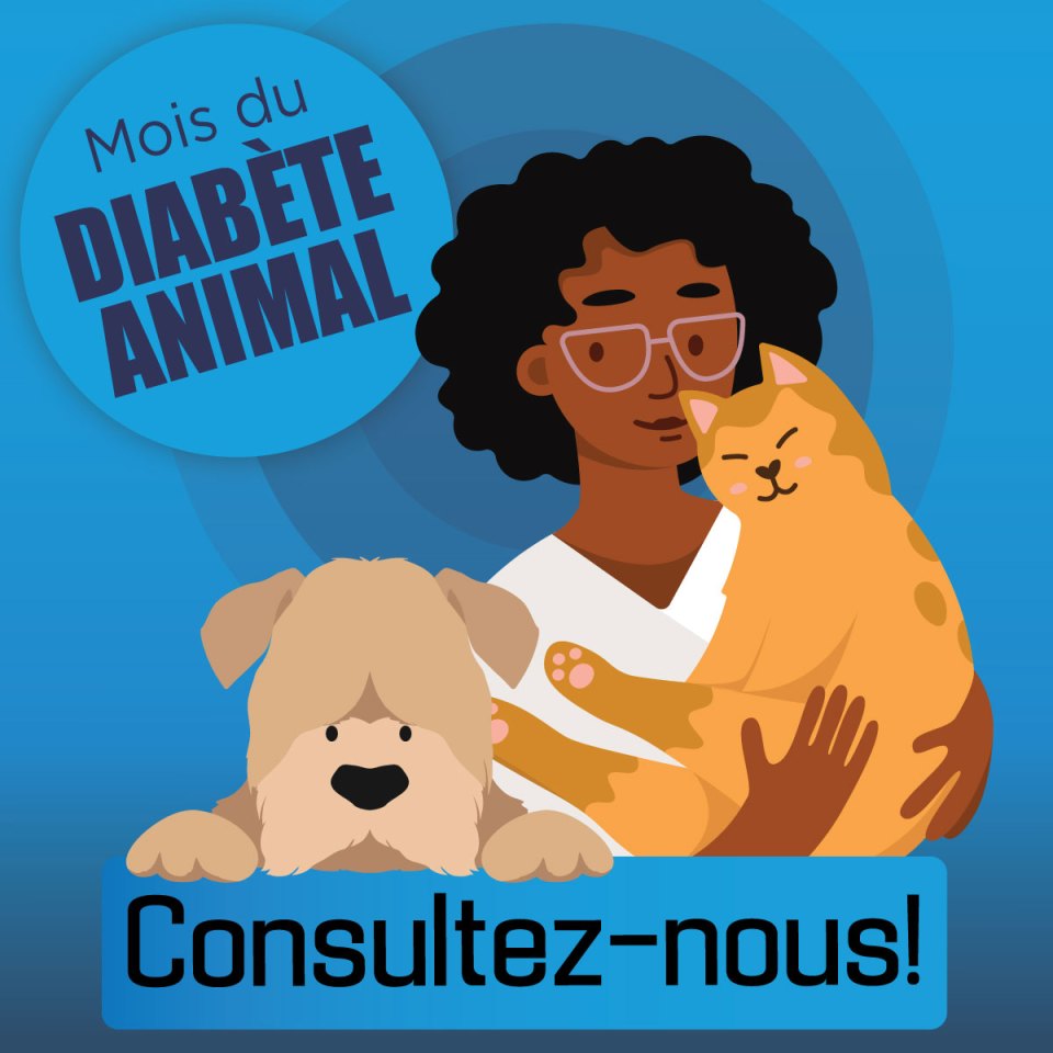 Une femme avec un chien et un chat "Consultez-nous!".