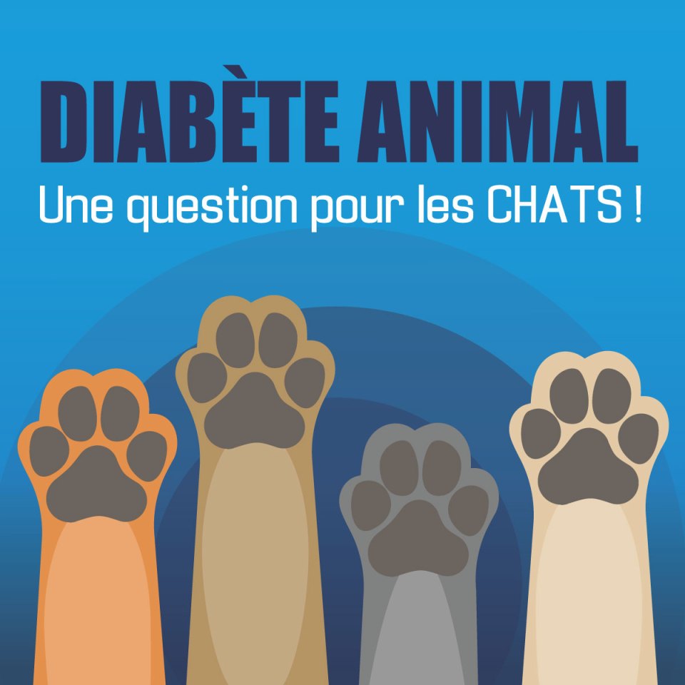 Pattes de chat illustrées "Une question pour les chats".