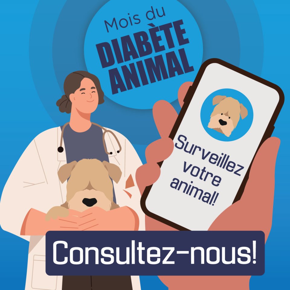 Illustration d'un vétérinaire tenant un chien, et d'une main tenant un téléphone qui dit "Surveillez votre animal !".