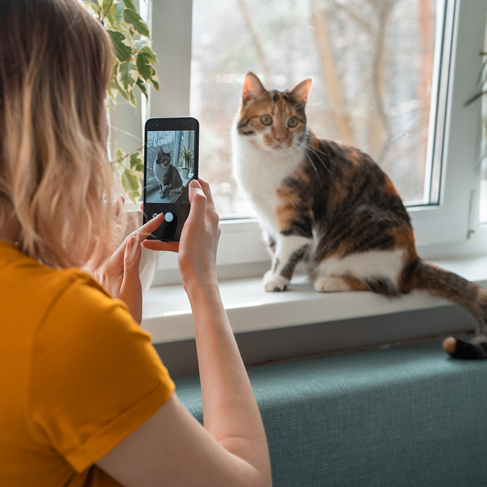 Femme prenant une photo de son chat avec un smartphone.