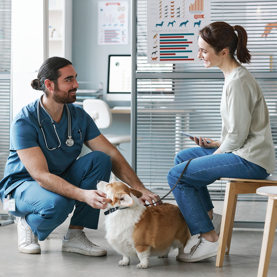 Vétérinaire en uniforme bleu parlant à la propriétaire d'un chien tout en câlinant son chien dans une clinique.