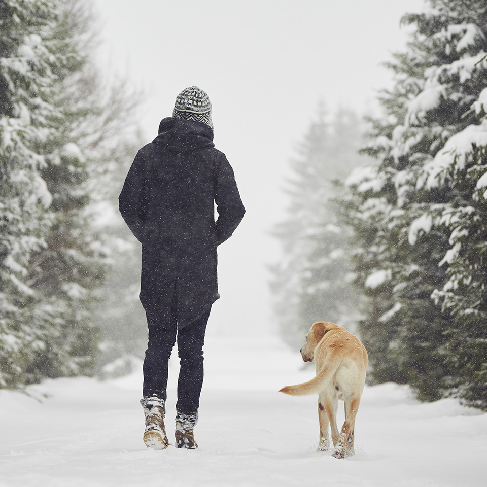 Un homme et son chien marchant dans la neige.