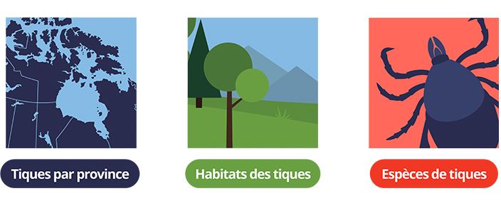 3 section représentant les tiques par province, les habitats des tiques et les espèces de tiques