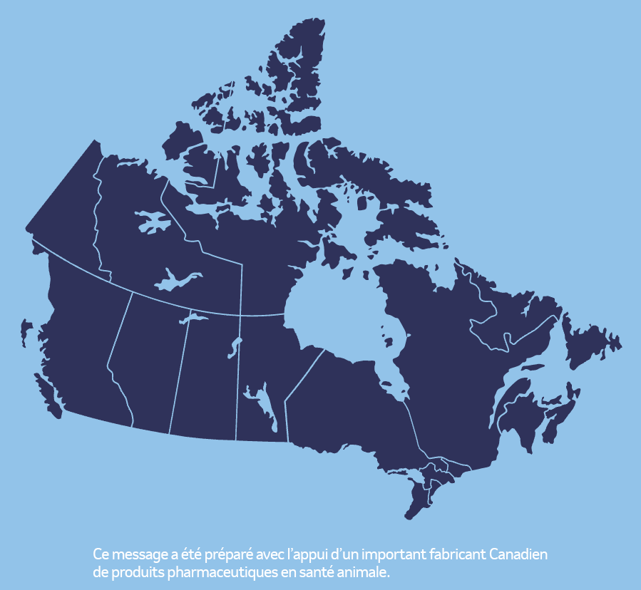 Carte du canada