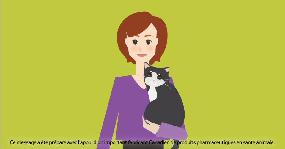 Illustration d'une femme avec son chat 