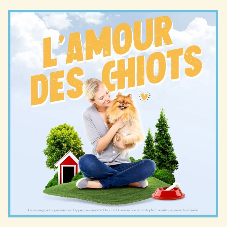 Une femme portant son chien en étant assise dans l'herbe avec un texte "L'amour des chiots"