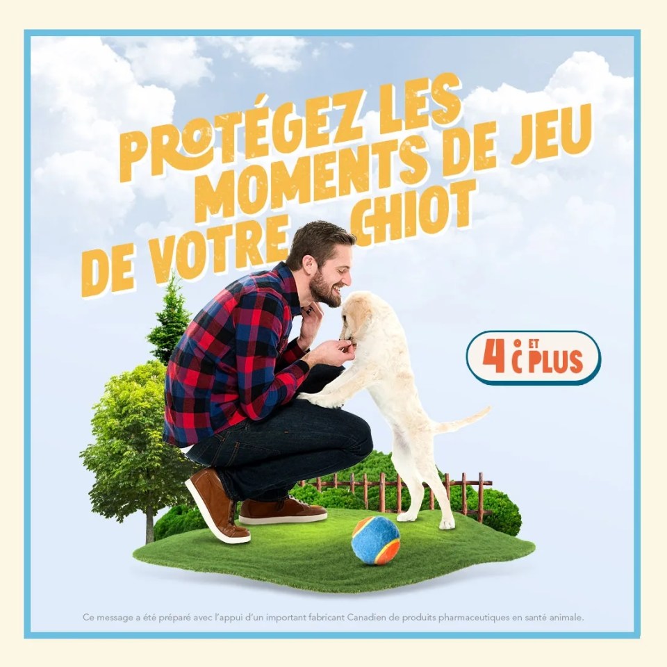 Un homme jouant avec un chiot avec le texte "Protégez les moments de jeu de votre chiot"