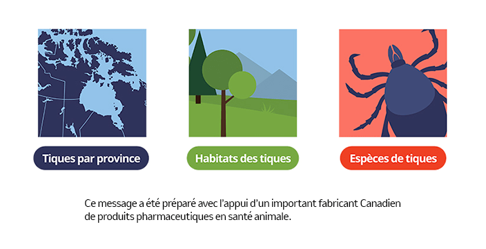 Image représentant 3 sections, on peut y voir la carte du canada, une foret et une tique