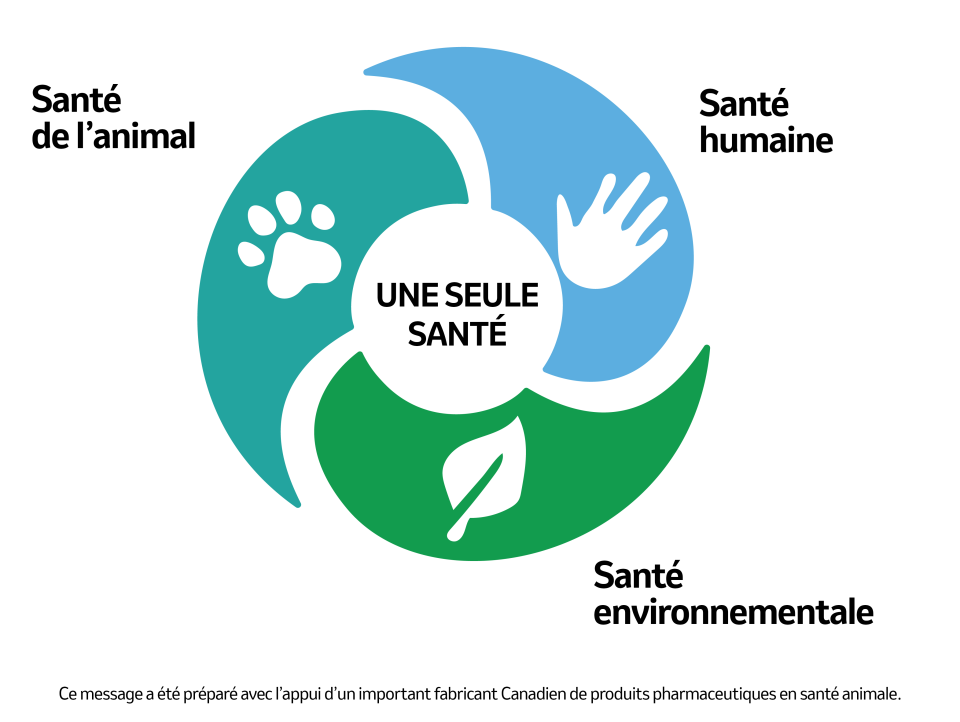 Infographie montrant une patte une main et une feuille