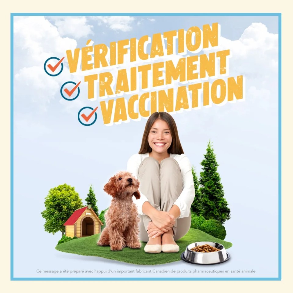 Une femme assise avec son chien en extérieur avec un texte "Vérification Traitement Vaccination"