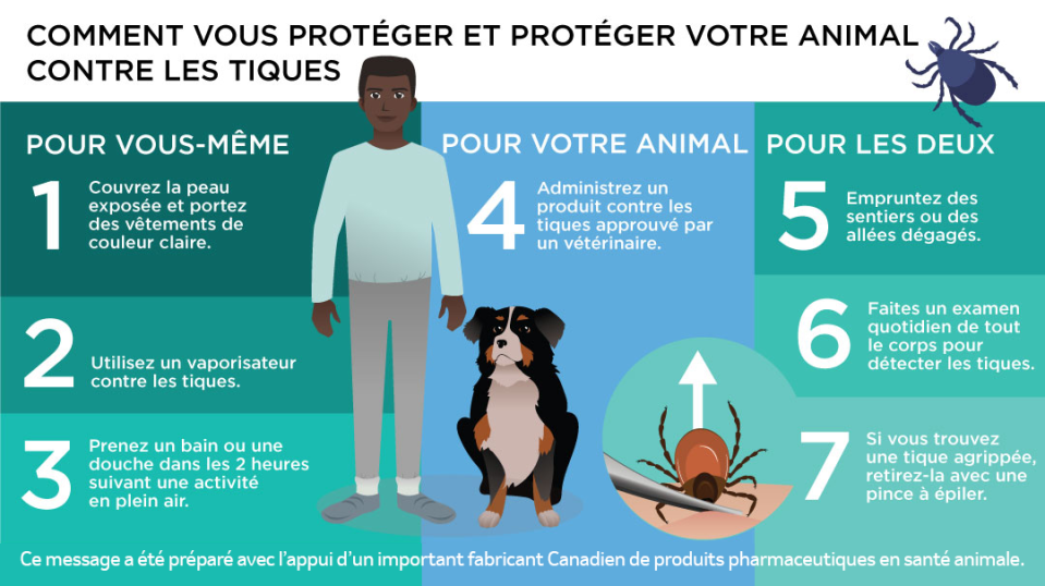 Étapes montrant comment se proteger et proteger son animal contre les tiques