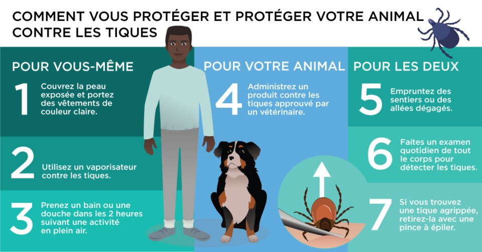 Illustration représentant un homme avec un chien et une tique, avec 7 mesures pour aider à protéger les personnes et les animaux contre les tiques.