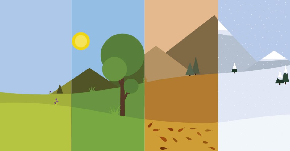 Illustration des saisons