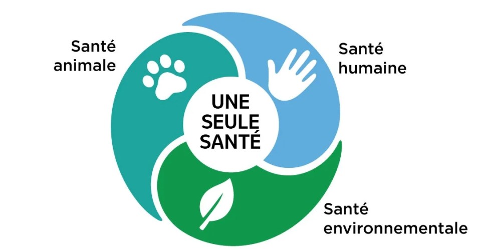 Illustration d'une patte, d'une main et d'une feuille avec le logo une seule santé