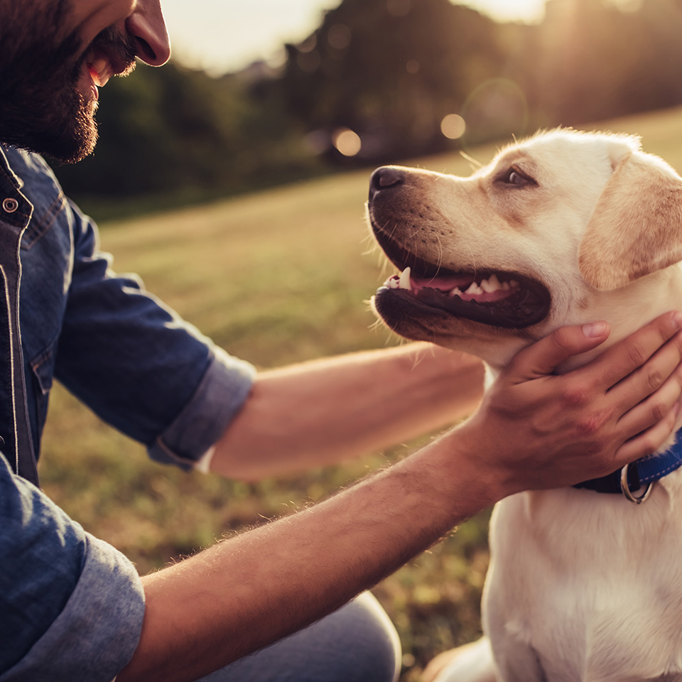 un homme agenouillé dans l'herbe caressant un chien